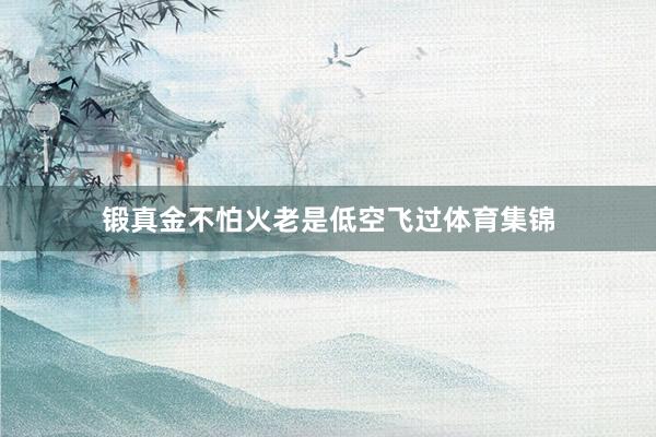 锻真金不怕火老是低空飞过体育集锦